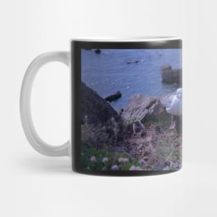 Sea Gull Chicks Mug